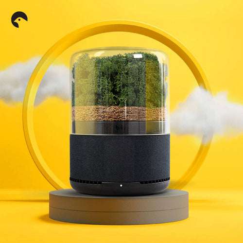 Briiv on a pedestal with a yellow background