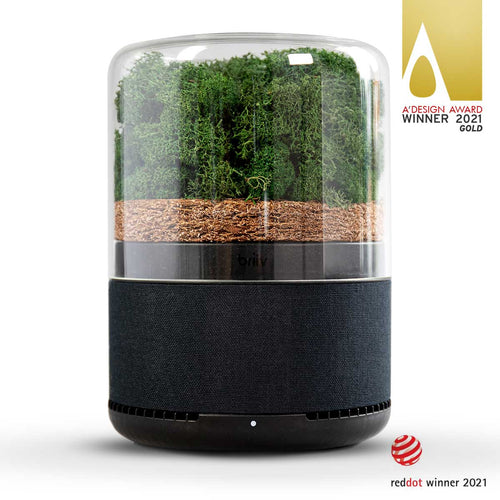 Briiv on a white background next to the Gold A design award