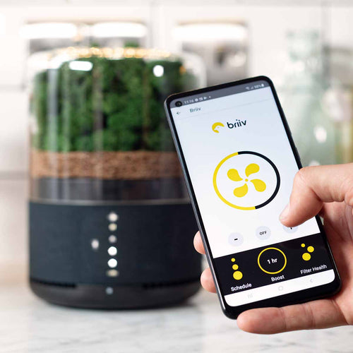 Briiv in the kitchen controlled by the app