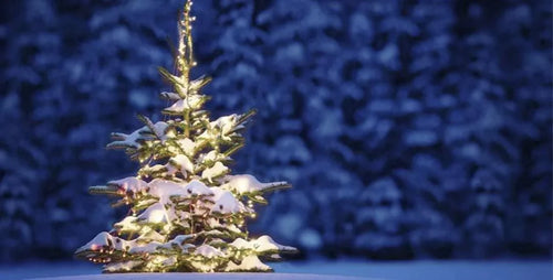 Christmas Shipping 2023