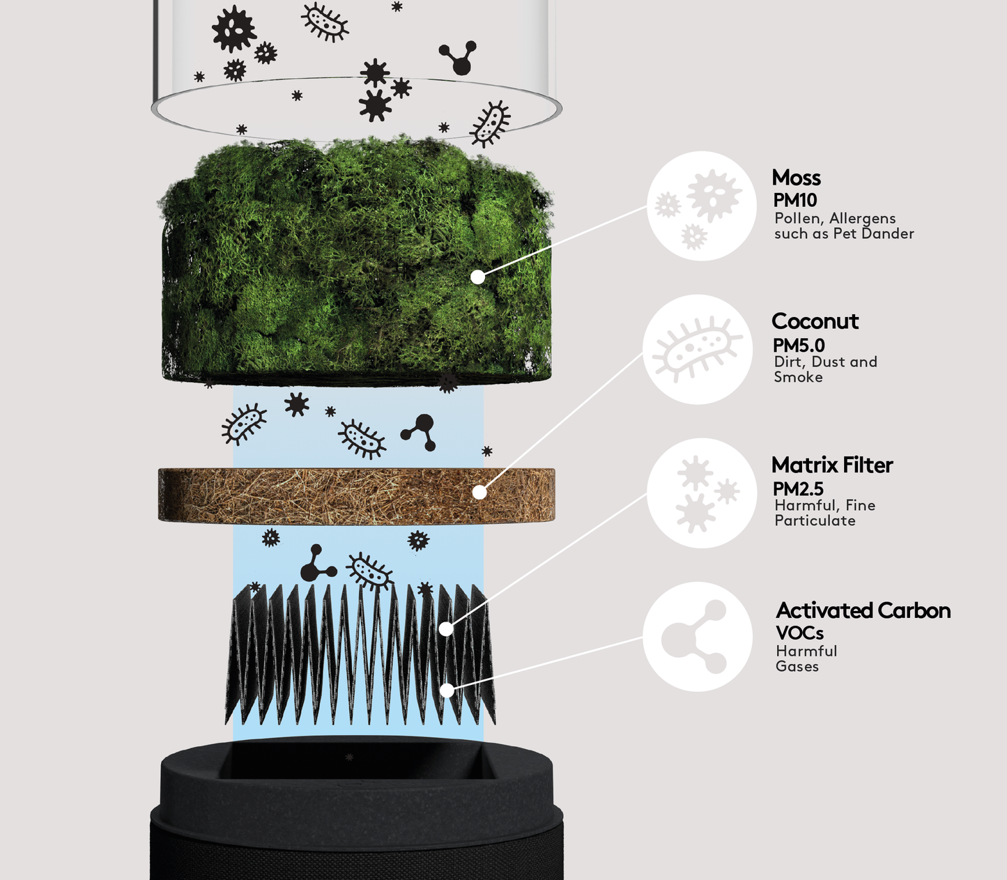Briiv Air Filter