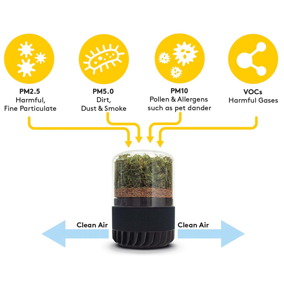 Graphic showing PM2.5 PM5.0 PM10 and VOCs being captured in briiv.
