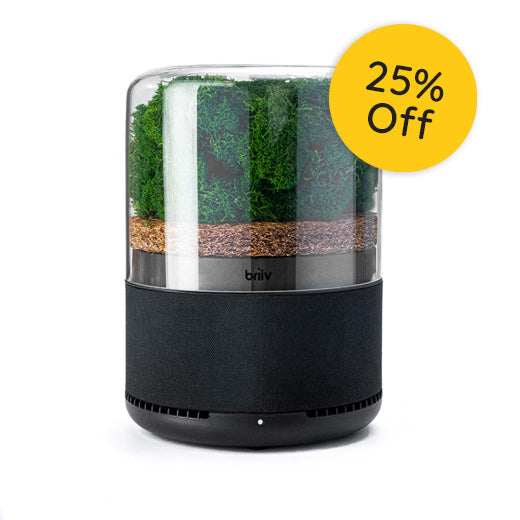 Briiv black air purifier with a glass container holding natural moss and coconut filters featuring a yellow 25 percent discount label.