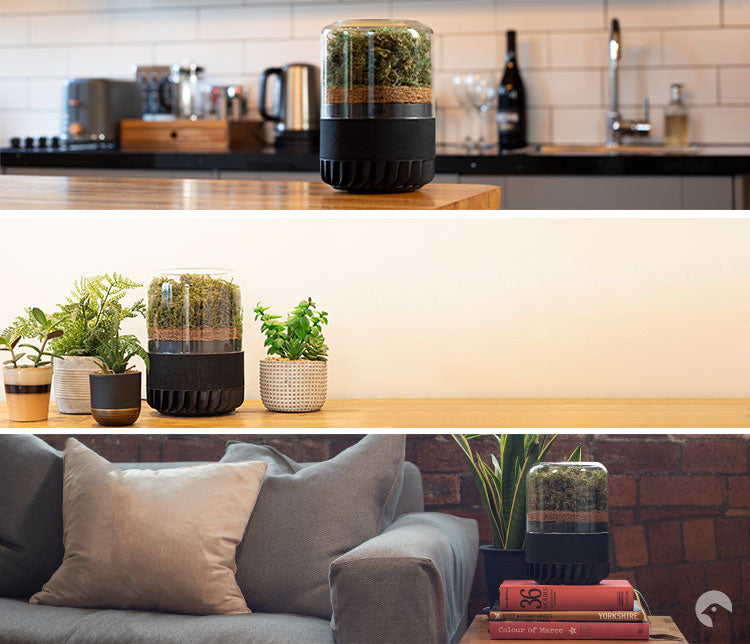 Briiv Pro in three home environments