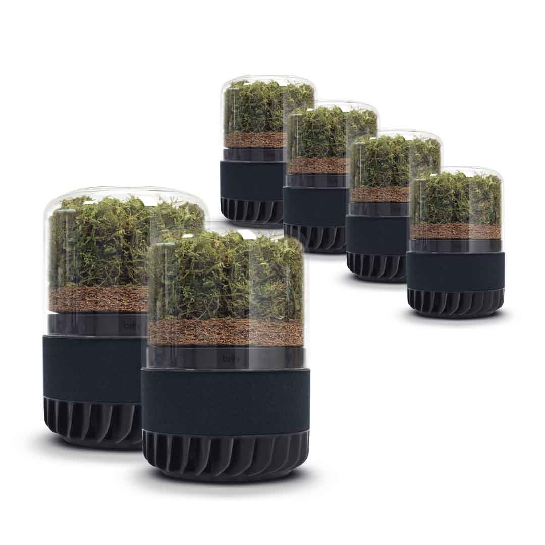 2 briiv 2 pros next to 4 briiv 2 units on a white background