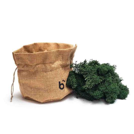 Briiv Reindeer Moss next to a bag