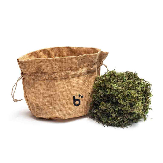 Briiv 2 Yorkshire moss next to bag