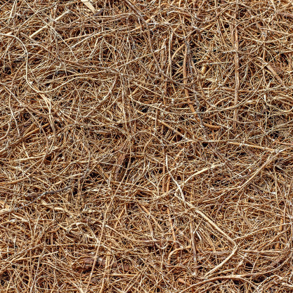 Briiv Coconut Disc Filter