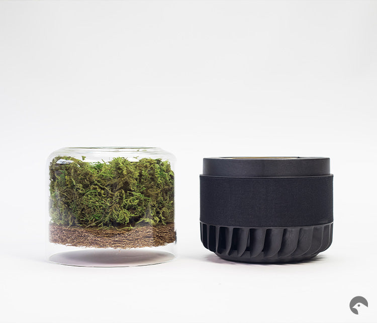 Briiv 2 air purifier deconstructed. On the left is the glass case, Yorkshire moss filter and coconut filter, on the right is the nano-matrix filter and mechanical portion of the air filter.