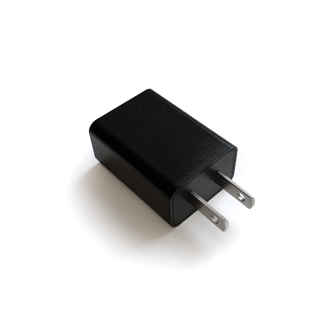 Briiv two pronged electrical plug (suitable for US, Canada and Japan markets).