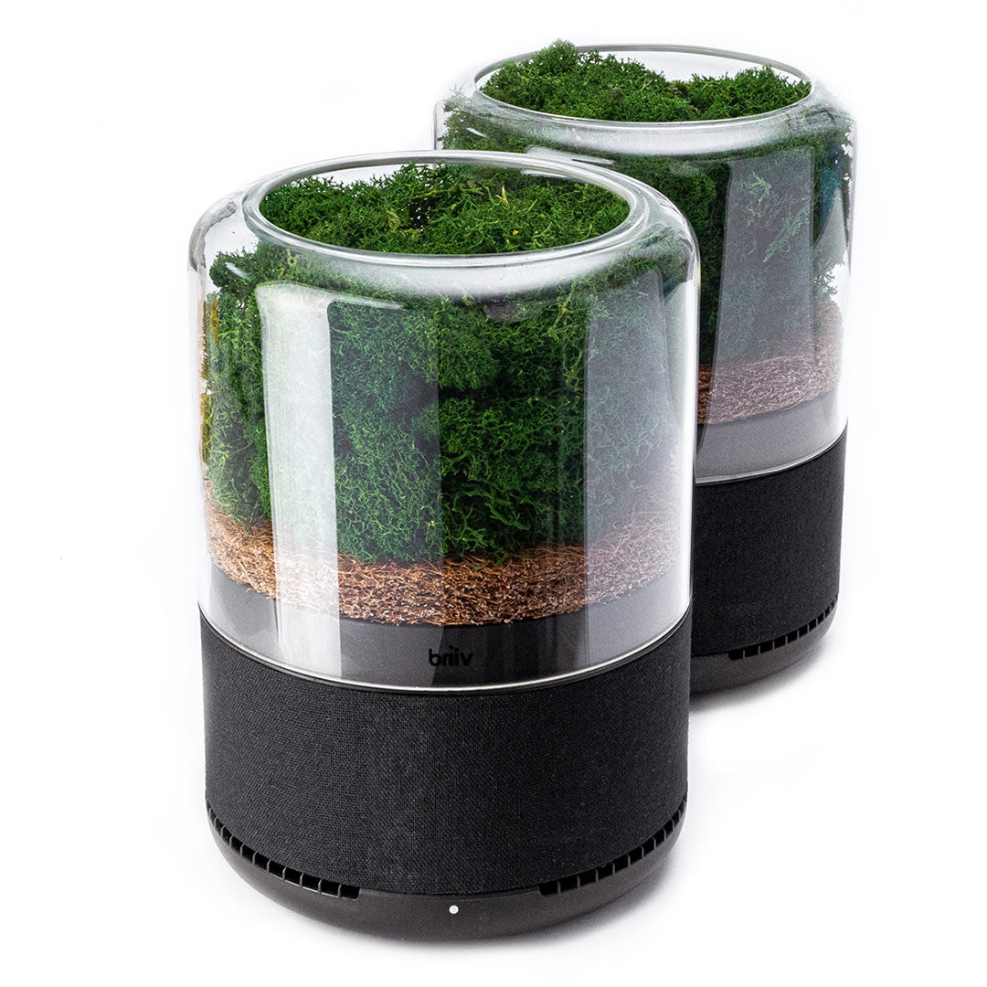 Briiv Air Filter - Double Pack