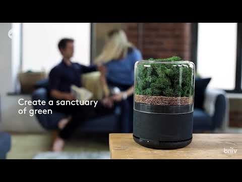 Briiv Air Filter - Unlock the Power of Plants video.