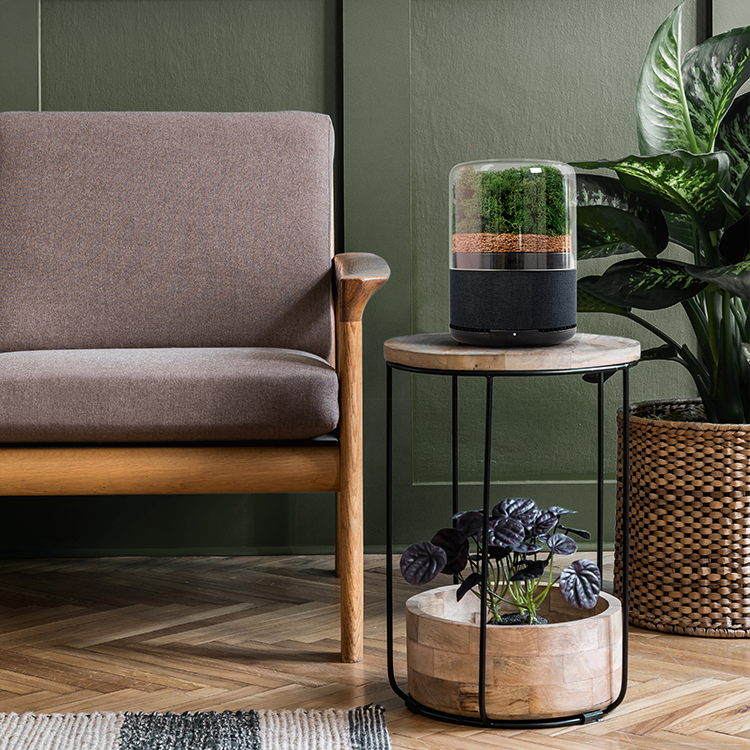 Air Purifiers - Briiv Air Filter