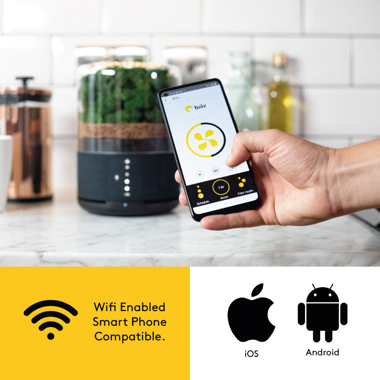 Briiv Air Filter being used with the Briiv App