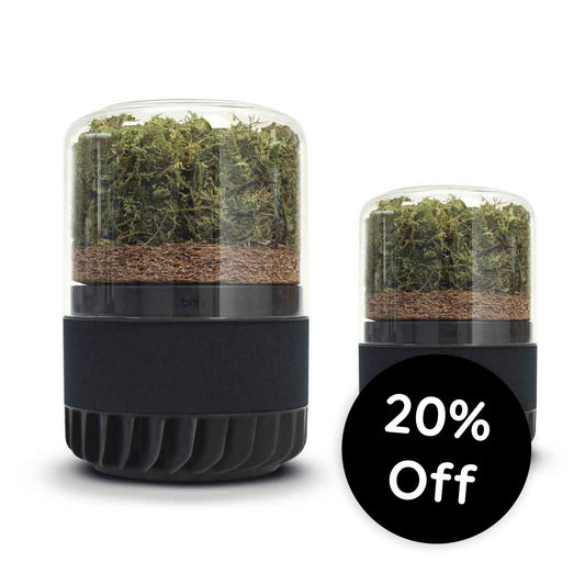 Black Friday Large Room System