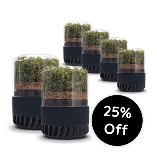 Black Friday Full House System