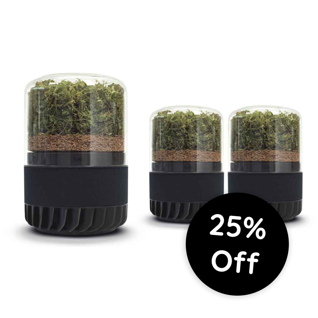 Black Friday Single Floor System