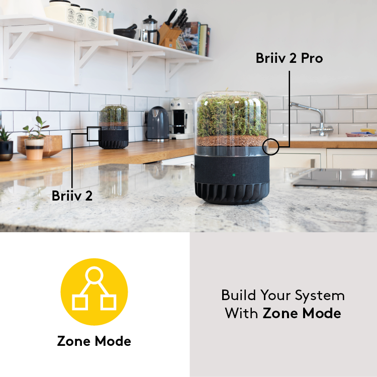 briiv plant air purifier with moss Briiv 2 Pro Air Filter