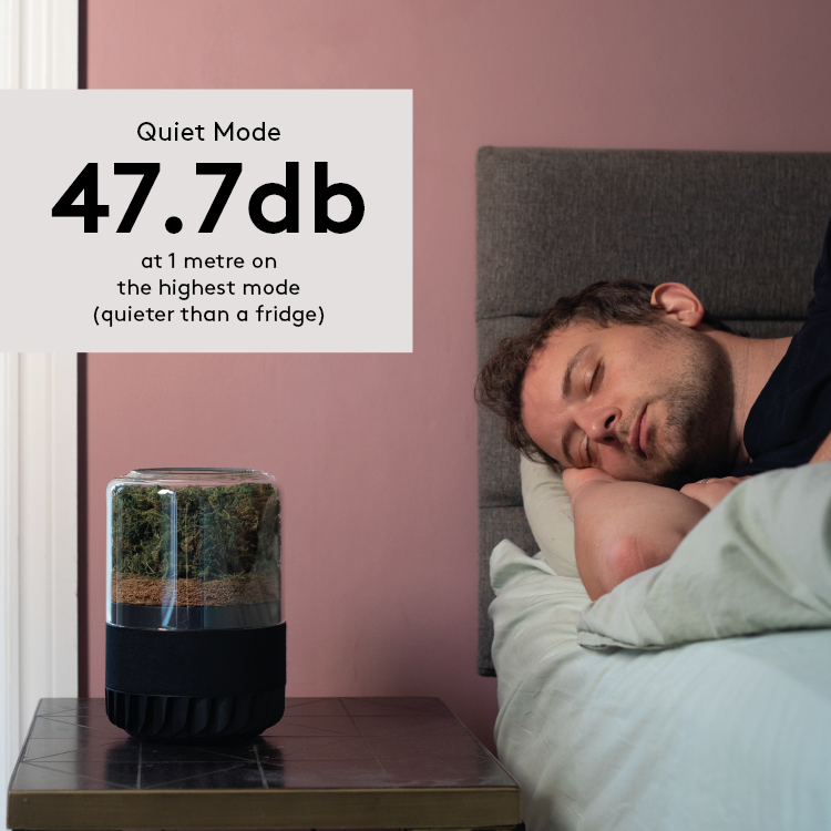 briiv plant air purifier with moss Briiv 2 Pro Air Filter