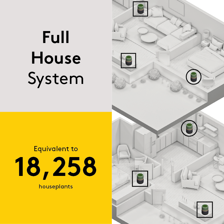 Briiv Air Purifiers - Full House System