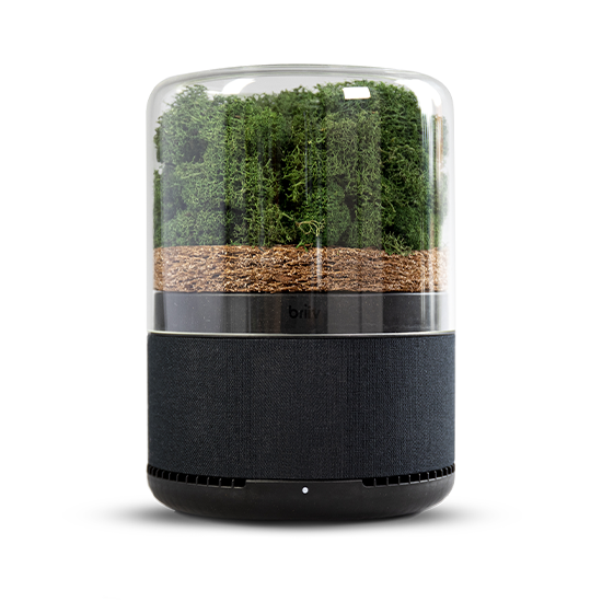 Briiv moss air purifier on a white background