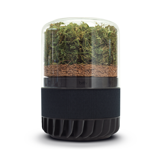 Briiv 2 Pro with moss on white background 