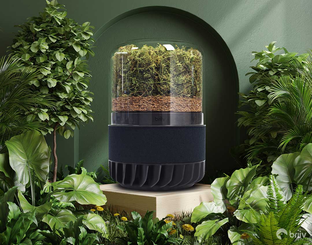 Briiv Air Purifier surrounded by Plants