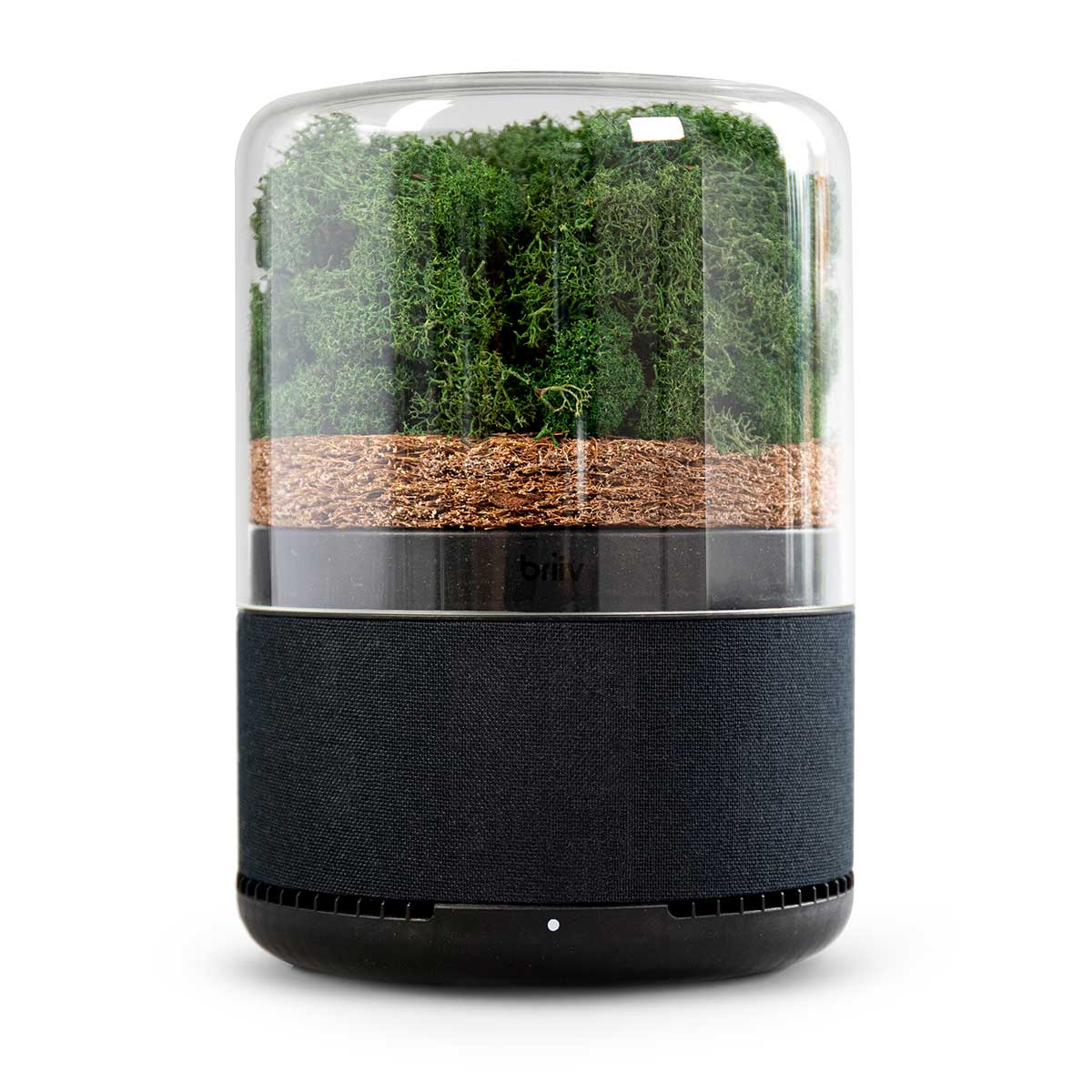 Briiv Air Filter - Sample