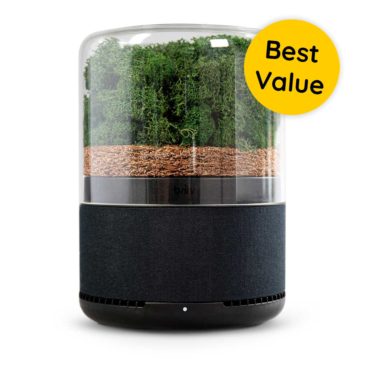 Briiv Air Filter - Refurbished