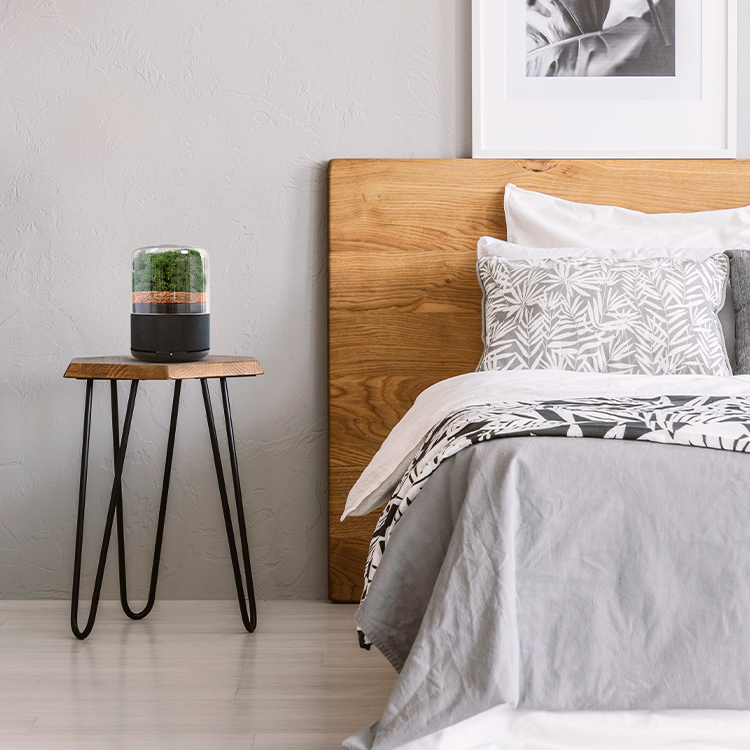 Air Purifiers - Briiv Air Filter
