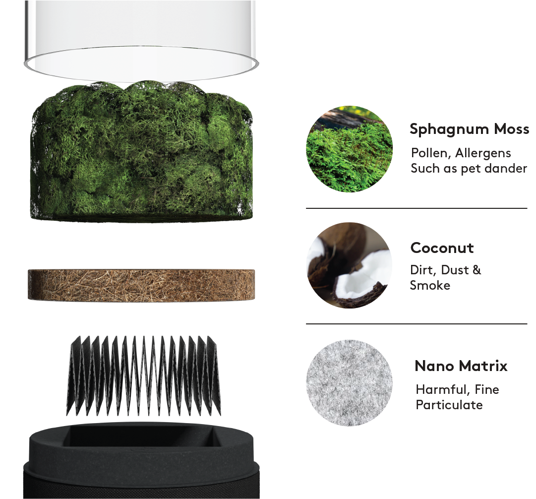 Filters inside Briiv 2, showing Moss, Coconut, and Matrix