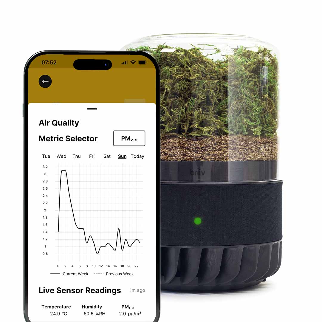 briiv plant air purifier with moss Briiv 2 Pro Air Filter