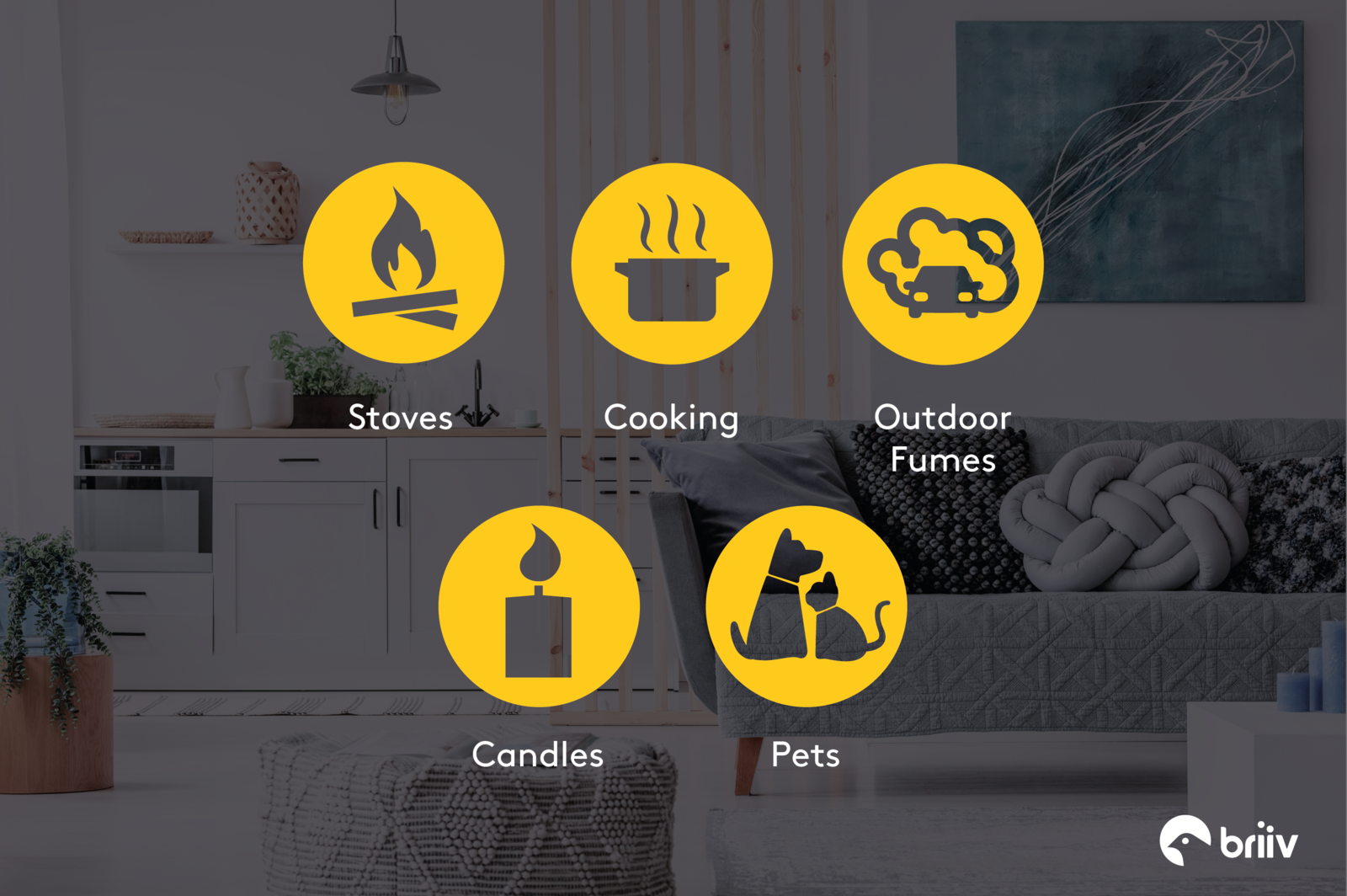 Infographic explaining the sources of poor indoor air quality, from cooking, candles and pets