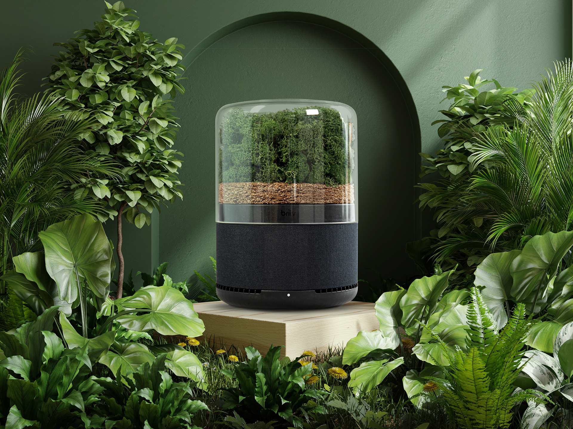Briiv sustainable air filter surrounded by plants.