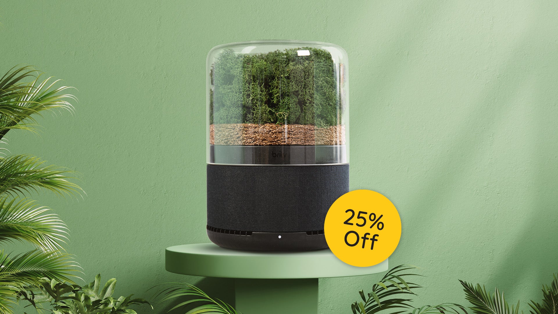 Briiv black air purifier with natural moss and coconut filters on a green background featuring a yellow 25 percent discount label.