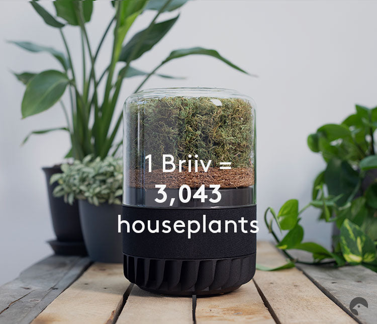 Infographic showing Briiv working the same as 3043 house plants.  