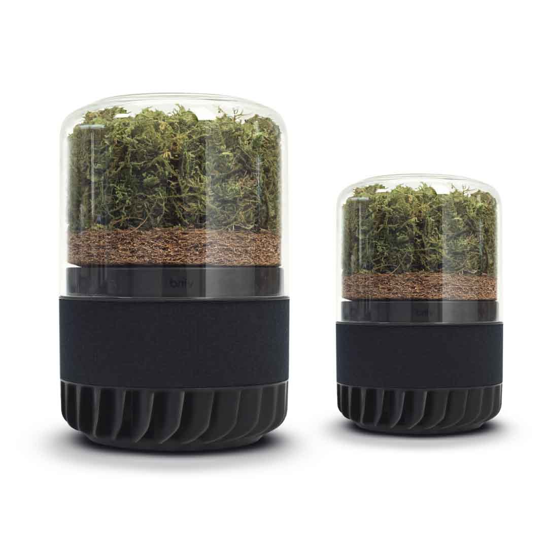 Eco-Friendly Air Purifiers With Large Capacities photo