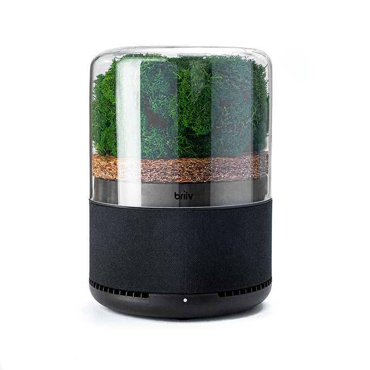 Air Purifier - Briiv Air Filter