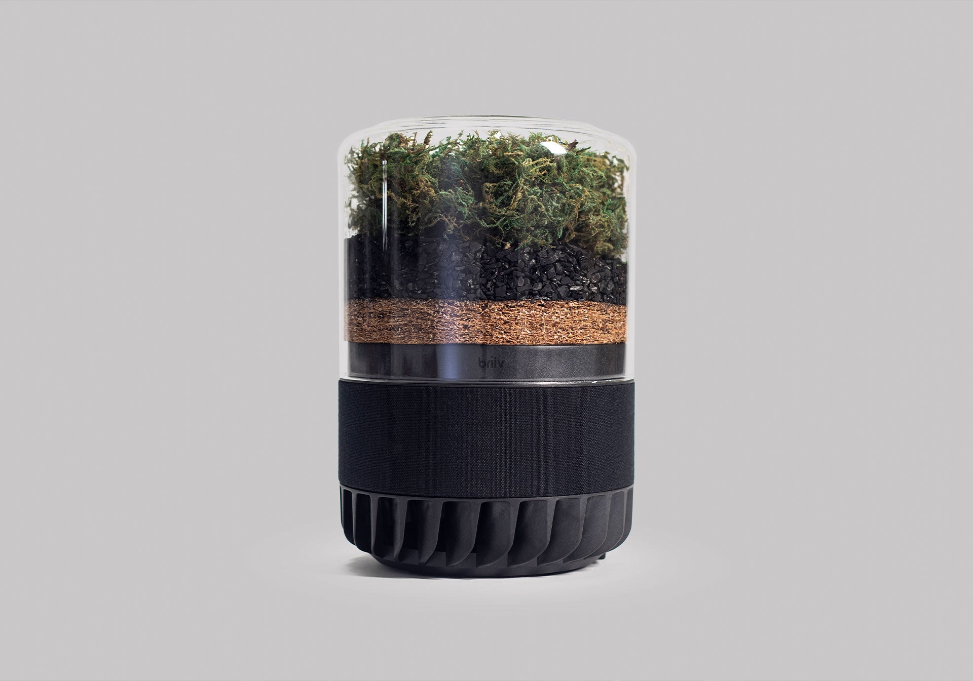 Briiv Pro, with moss and activated carbon. 