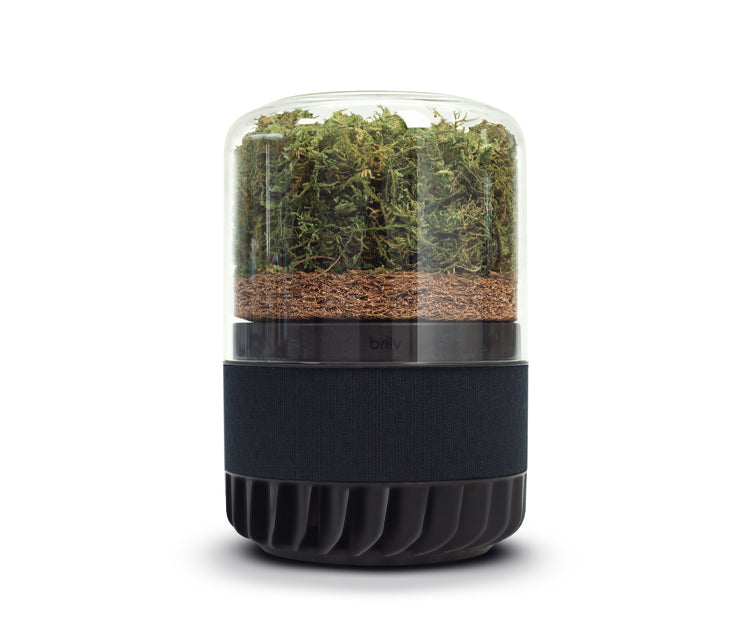 Briiv Pro with moss On a white background