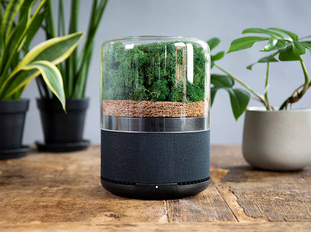 Briiv air purifier on a bench, with plants 